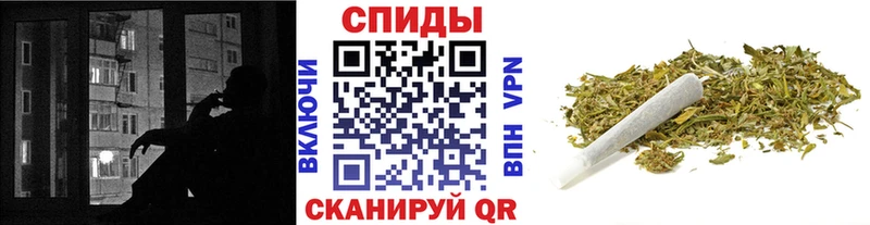 цена   Онега  Бутират вода 