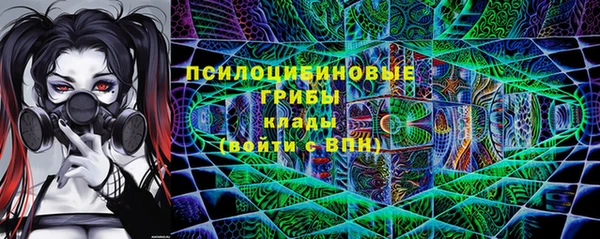 a pvp Магас
