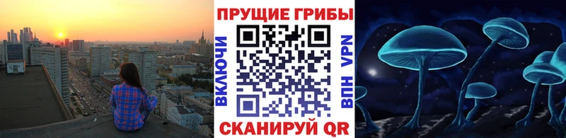 наркотики  дарк нет наркотические препараты  Псилоцибиновые грибы Magic Shrooms  Онега 